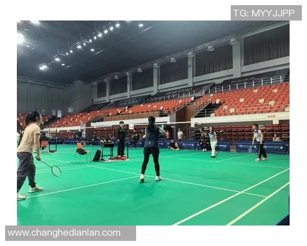 武汉羽毛球队实力大提升引发热议展现新风貌与未来潜力